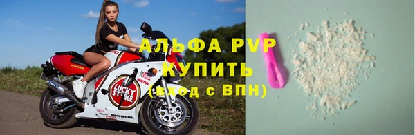 стафф Бронницы