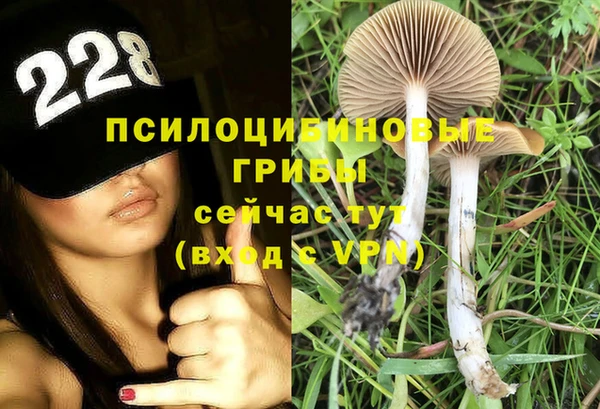 экстази Богородицк