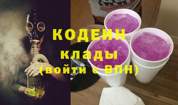 гидра Богородск