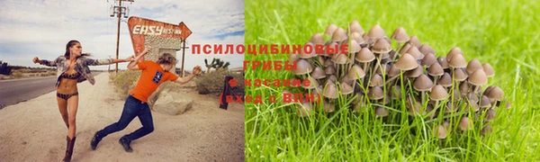 mdma Бородино