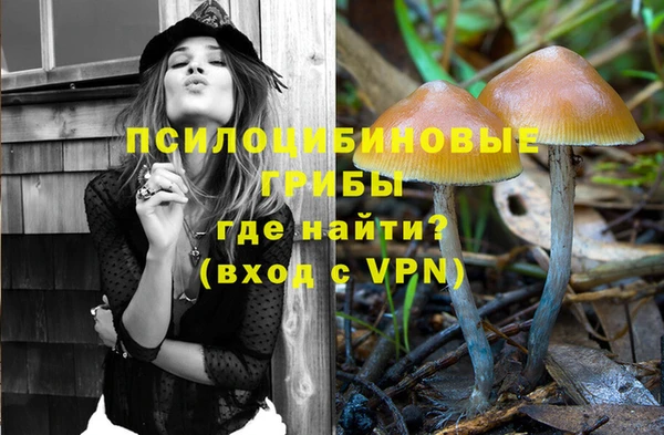 молекула духа Бугульма
