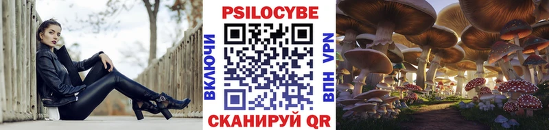 купить наркотик  Ахтырский  hydra сайт  Псилоцибиновые грибы ЛСД 