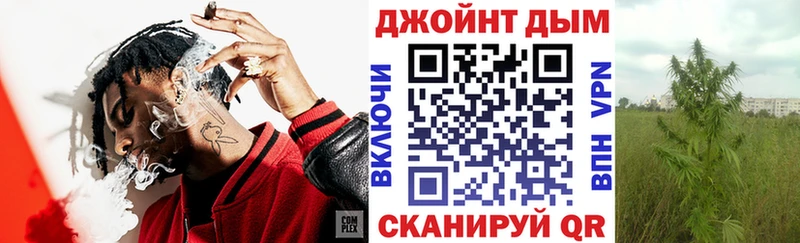 Конопля SATIVA & INDICA  Ахтырский 